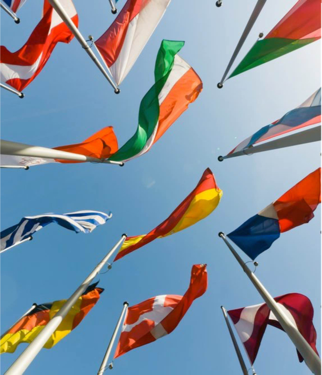 Drove a 552% increase in daily active users for the United Nations global partnership website.